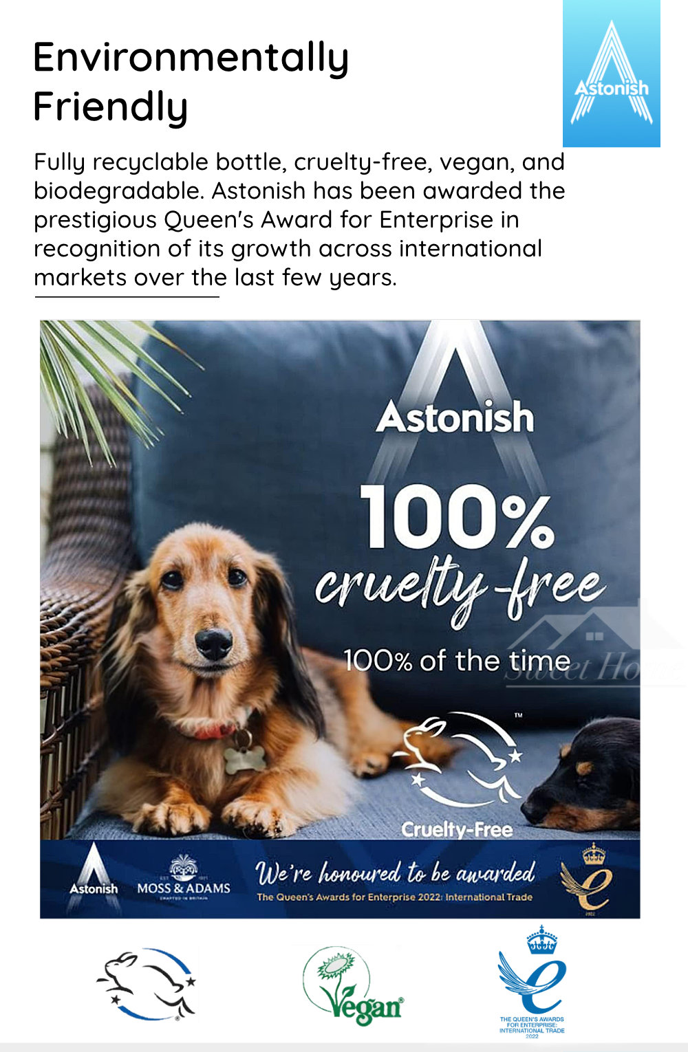 Astonish-Specialist-C6720-Carpet-Care-9